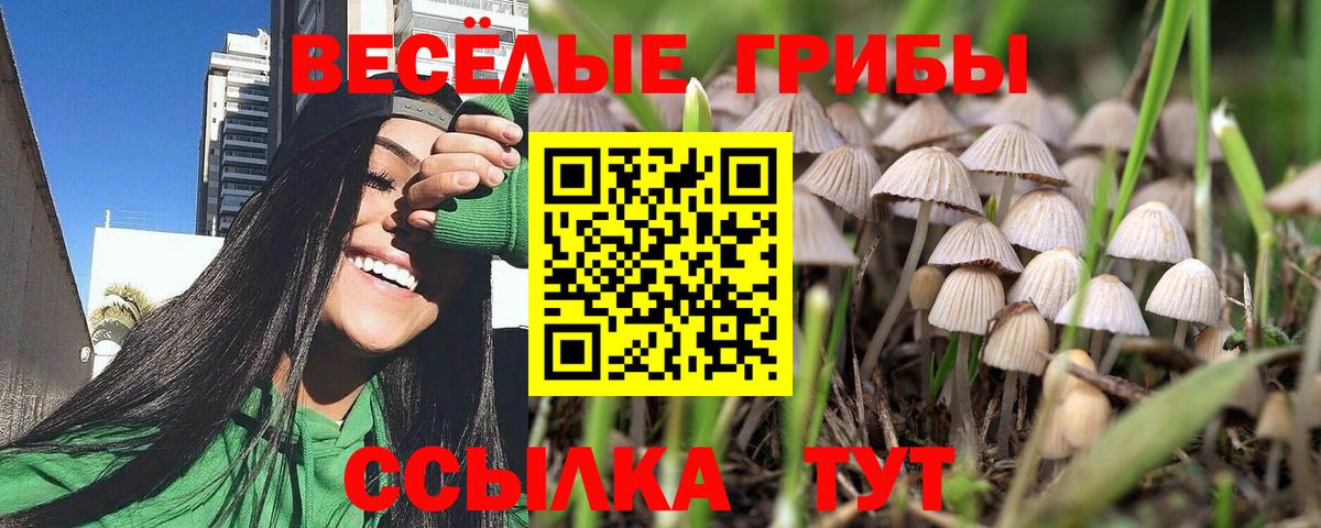 Бахчисарай  где можно купить наркотик  Вход с VPN  Псилоцибиновые грибы MAGIC MUSHROOMS 