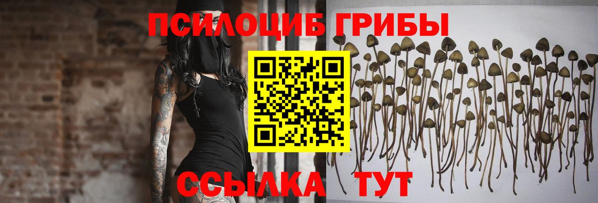 Псилоцибиновые грибы мухоморы Бахчисарай